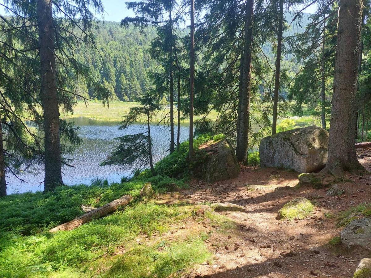 Pension Eichhorn Bayerisch Eisenstein Dış mekan fotoğraf